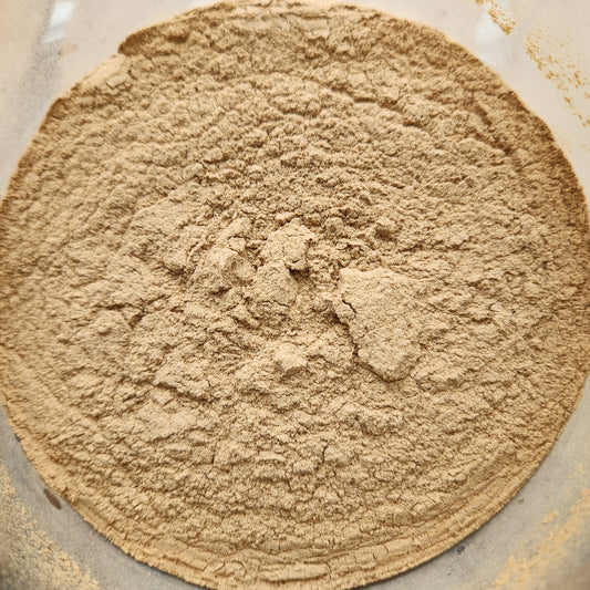 Shiitake Mushroom Powder