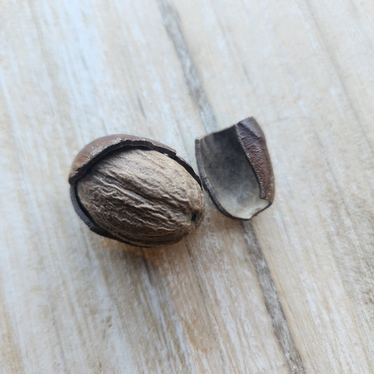 Nutmeg, Single Origin, India