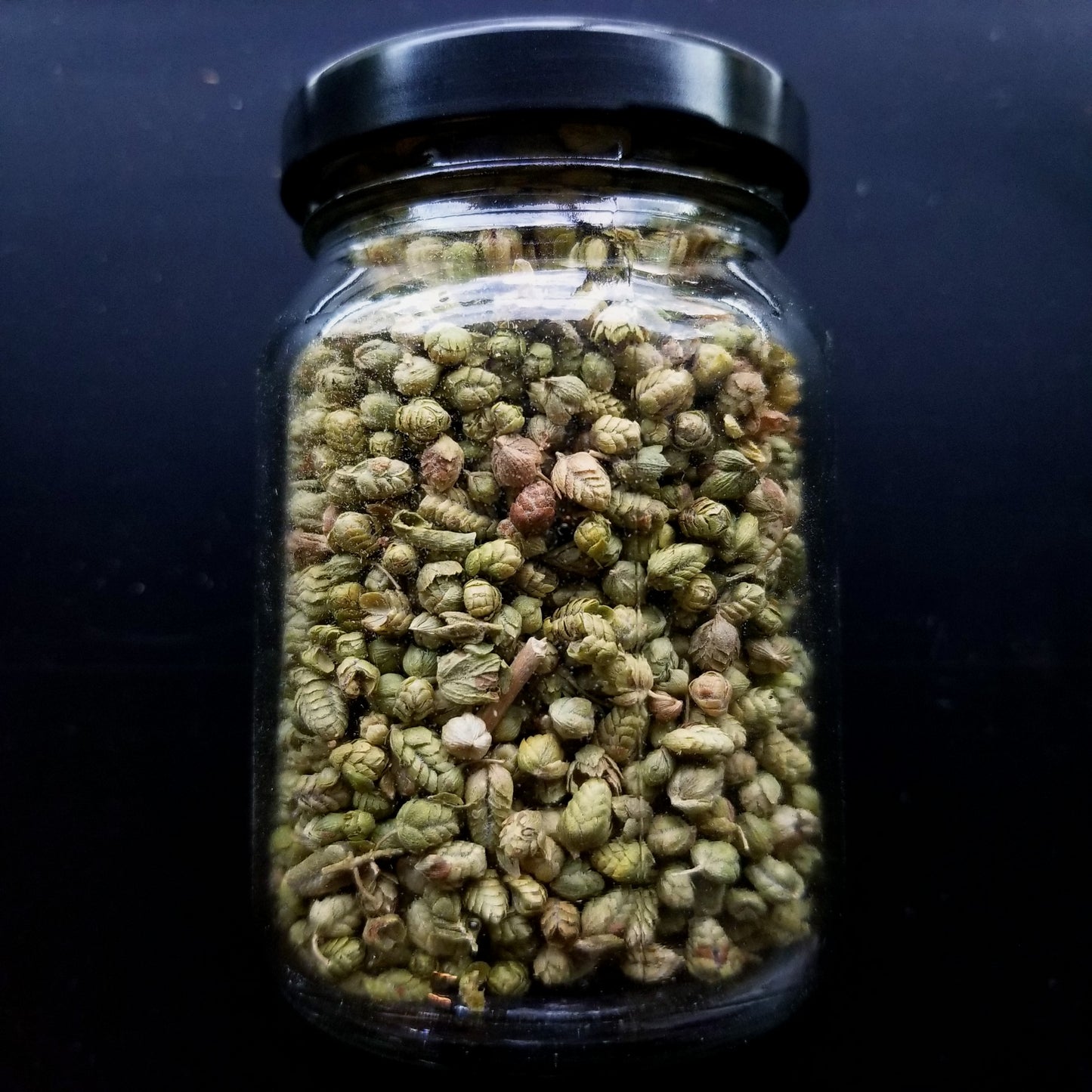 Oregano Buds, Single Origin, Turkey