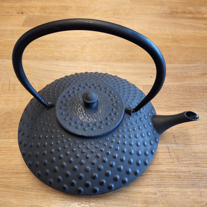Hira Cast Iron Teapot