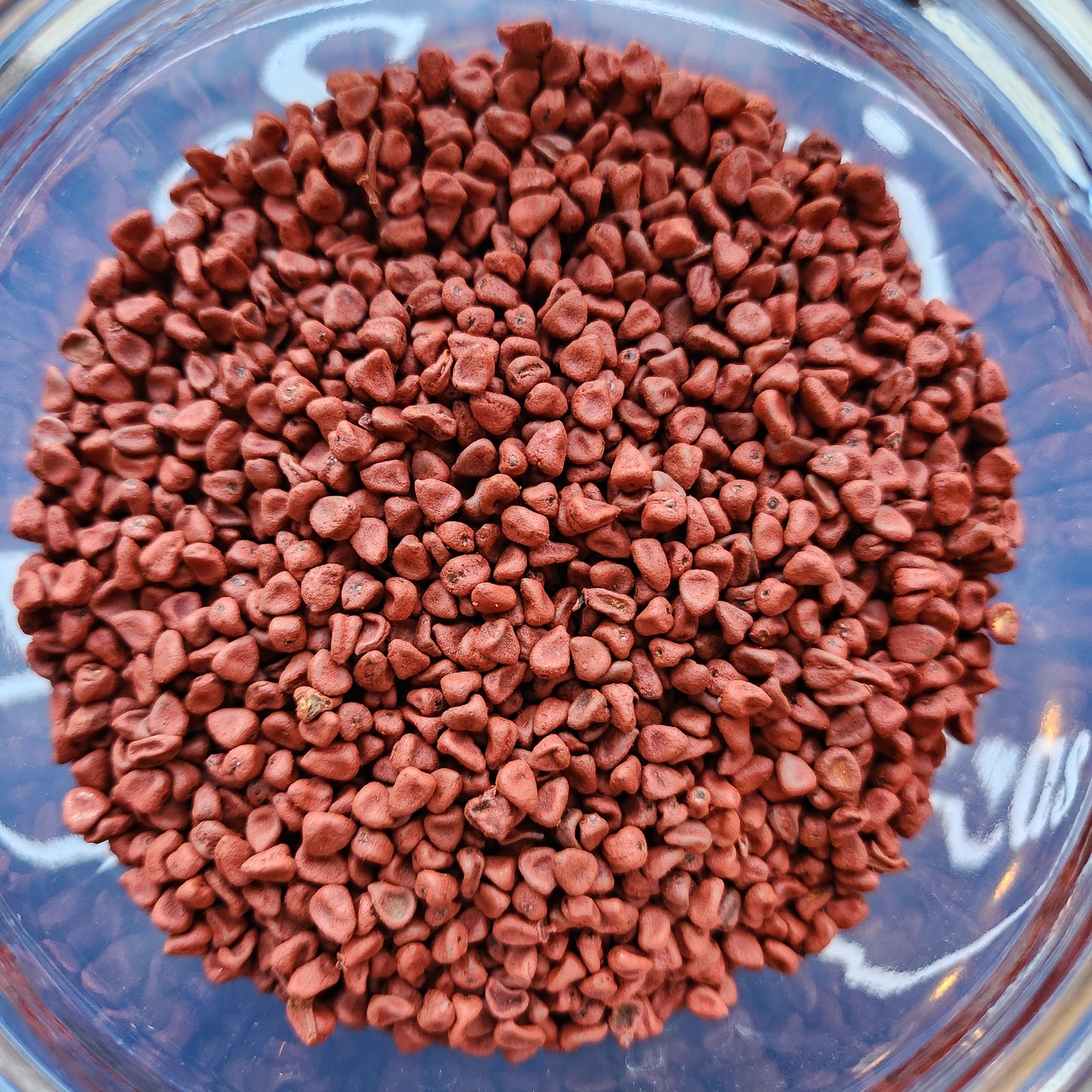 Annatto, Achiote, Organic