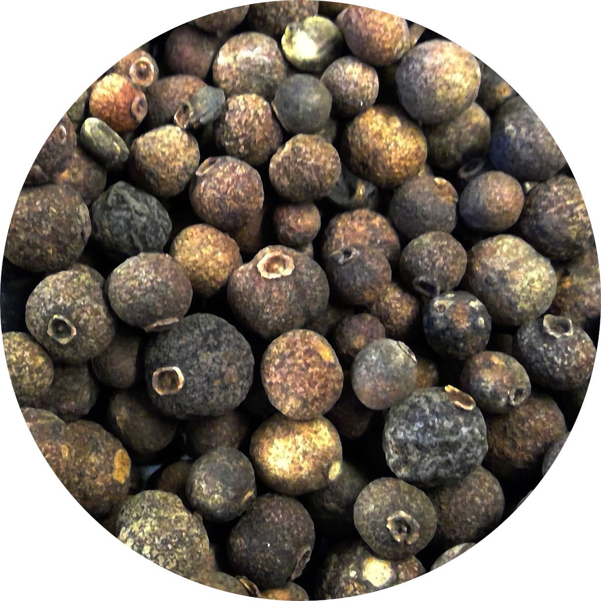 Allspice, Organic