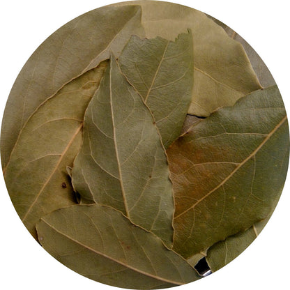 Bay Leaves, Turkey, Organic