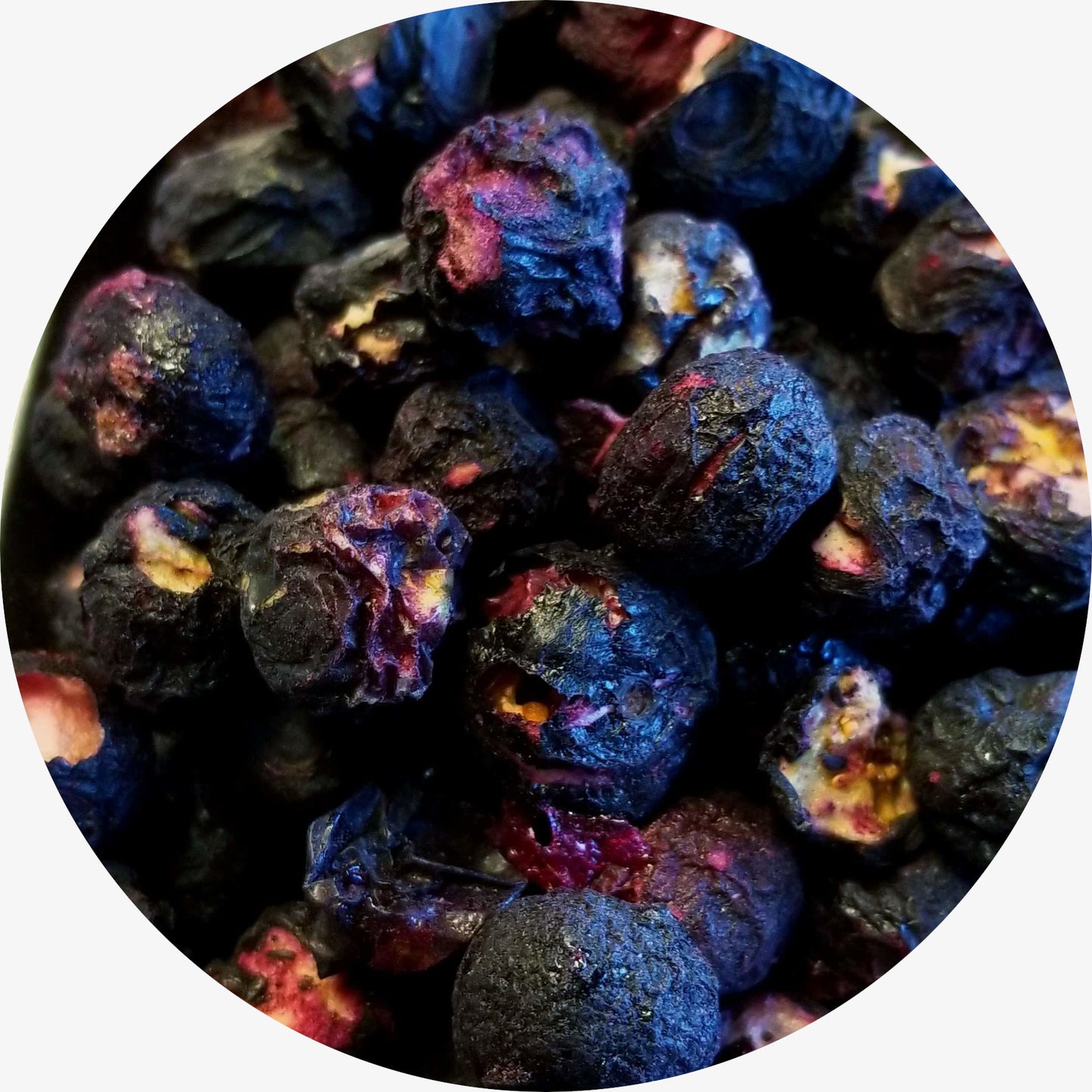 Blueberry, Freeze Dried