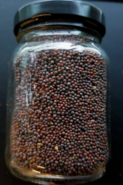 Brown Mustard, Organic