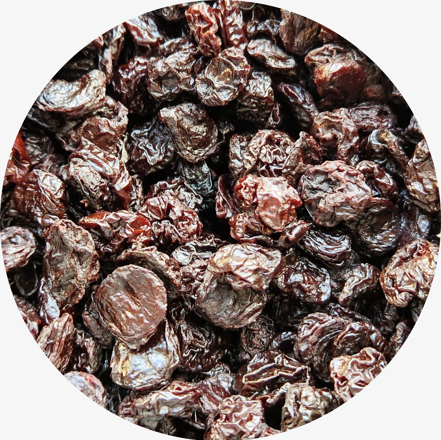 Sour Cherries, Dried, Organic