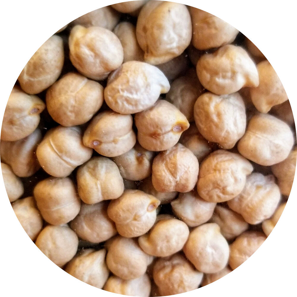 Chickpeas, Dried, Organic