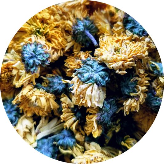 Chrysanthemum Flowers, Yellow, Organic