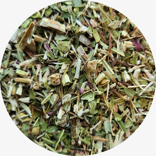 Echinacea, Angustifolia Herb, Organic