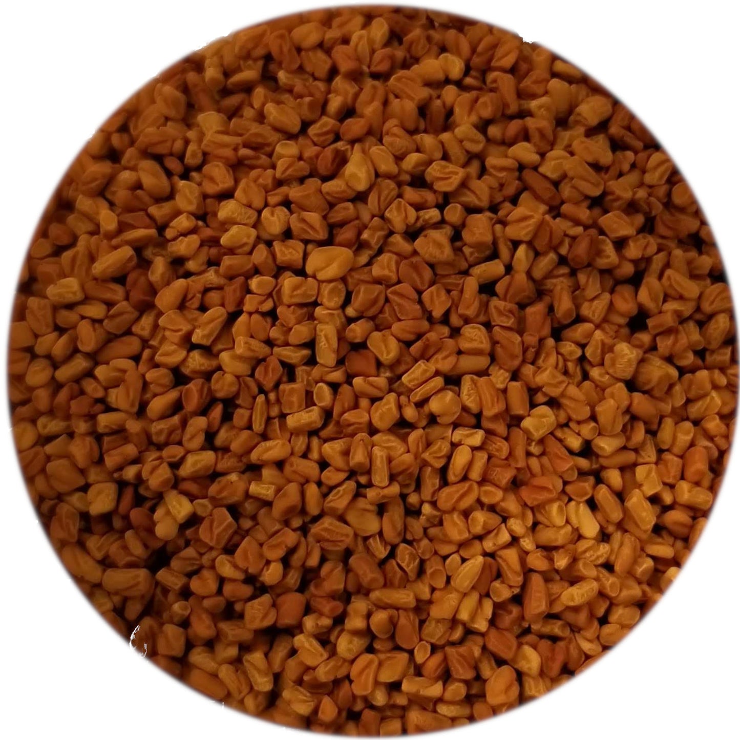 Fenugreek Seed, Single Origin, India