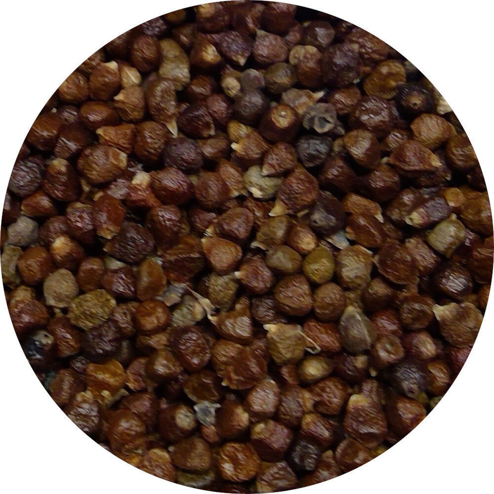 Grains of Paradise, Single Origin