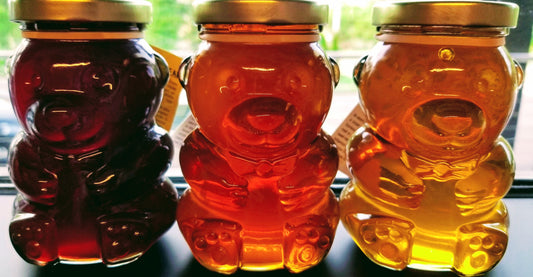 Tennessee Honey Bear