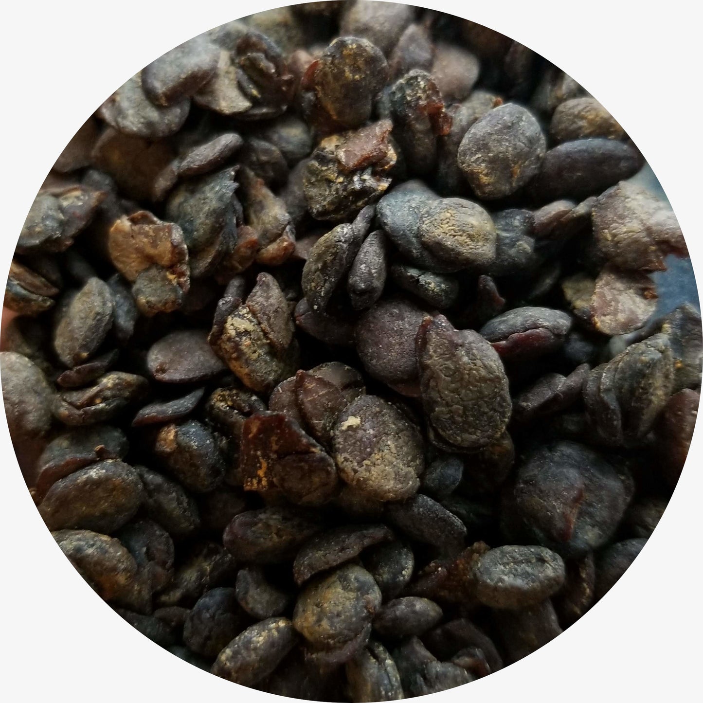 Iru, Fermented Locust Beans, Nigeria, Single Origin