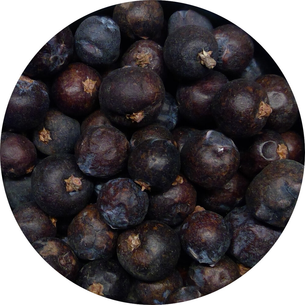 Juniper Berry, Organic