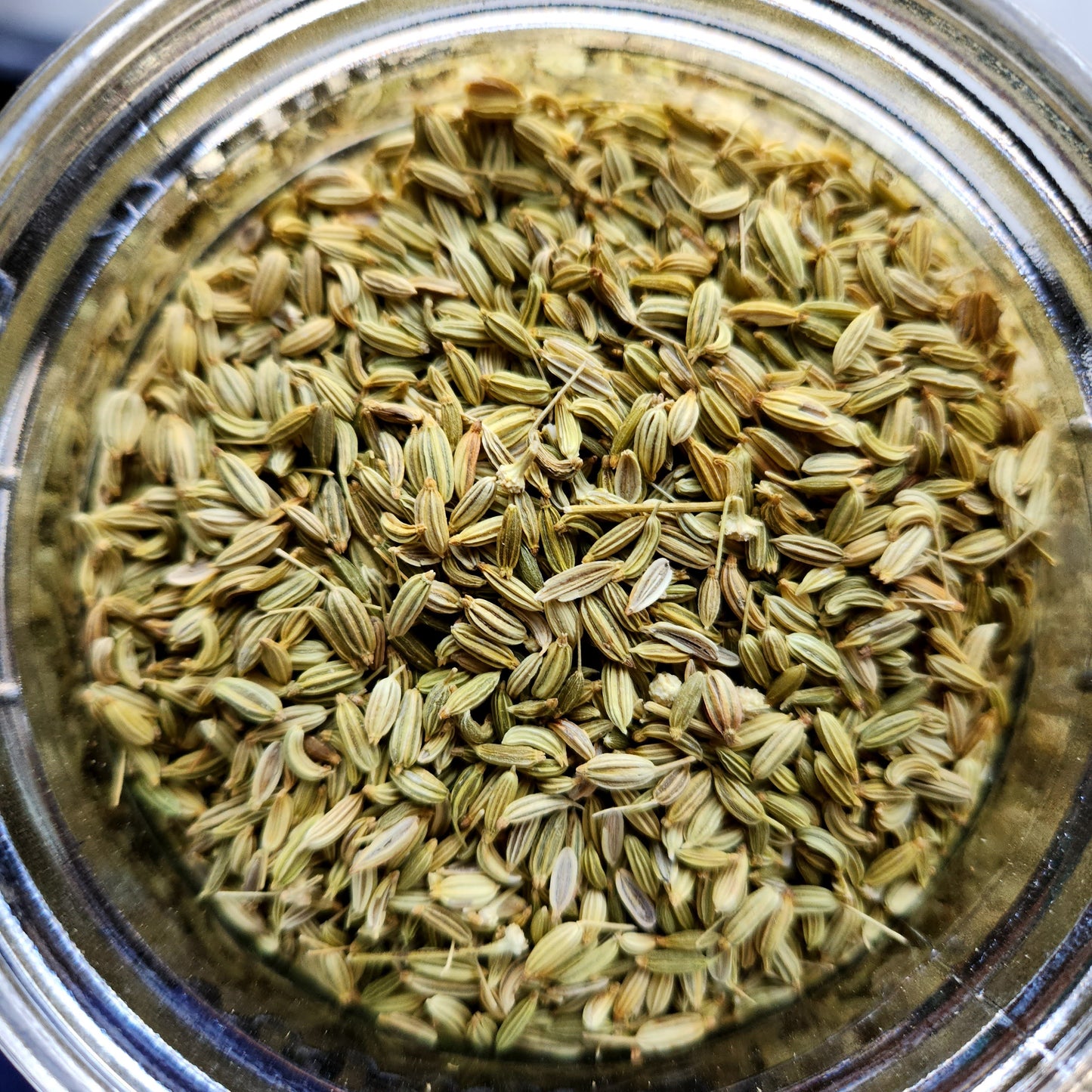 Fennel, Lucknow, Single Origin