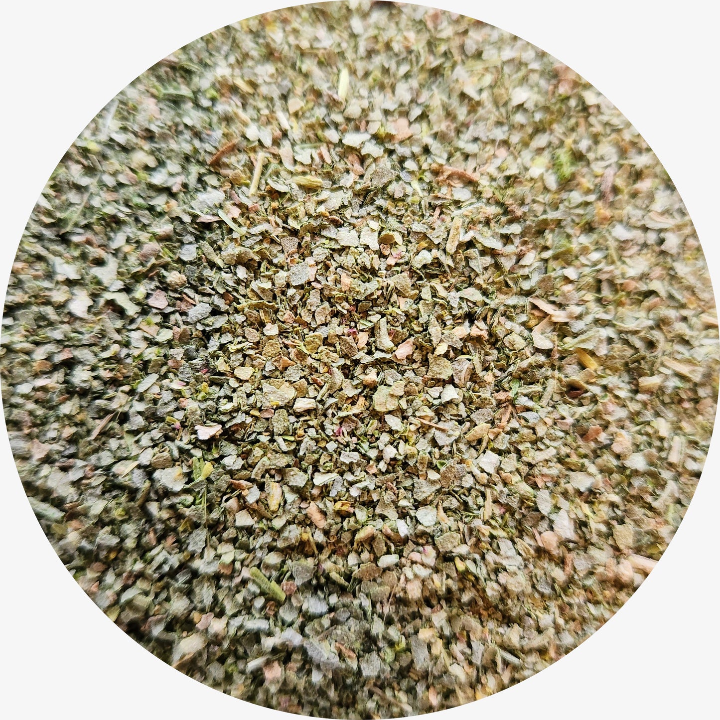 Old Man Saltbush