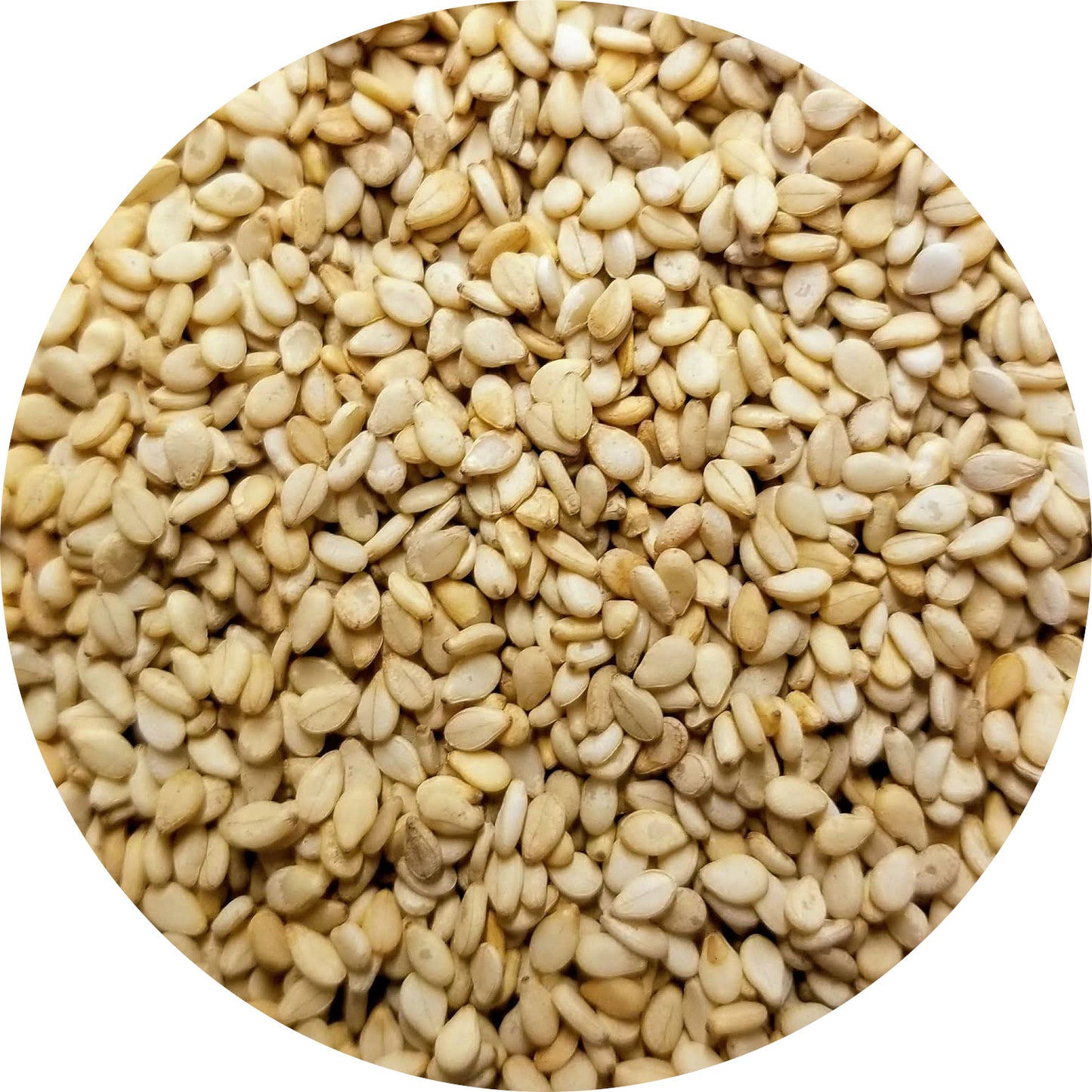 Sesame Seed, Natural, Organic