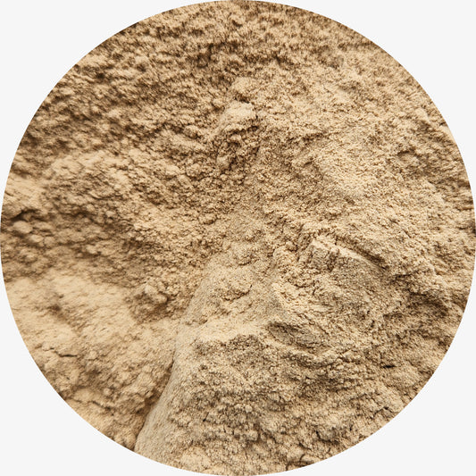 Shiitake Mushroom Powder