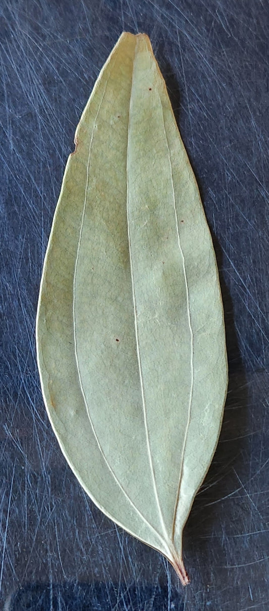 Bay Leaves, Tej Patta,  India, Organic