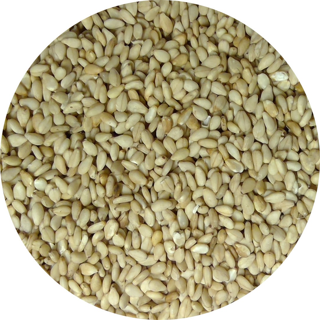 Sesame Seeds, Toasted