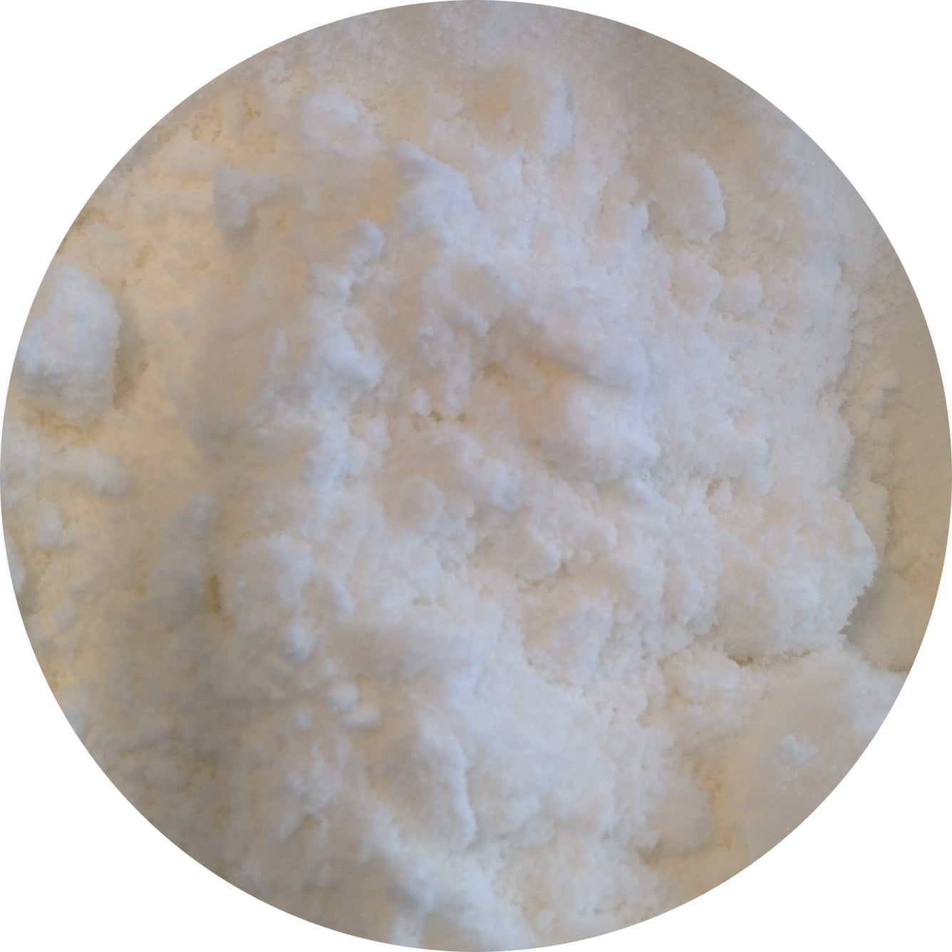 Coconut Milk Powder, Organic