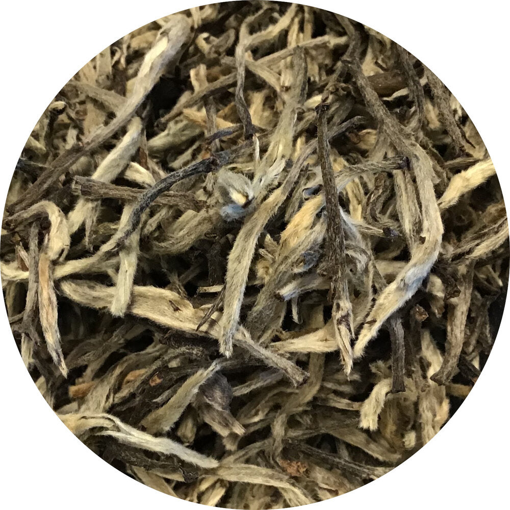 White Darjeeling