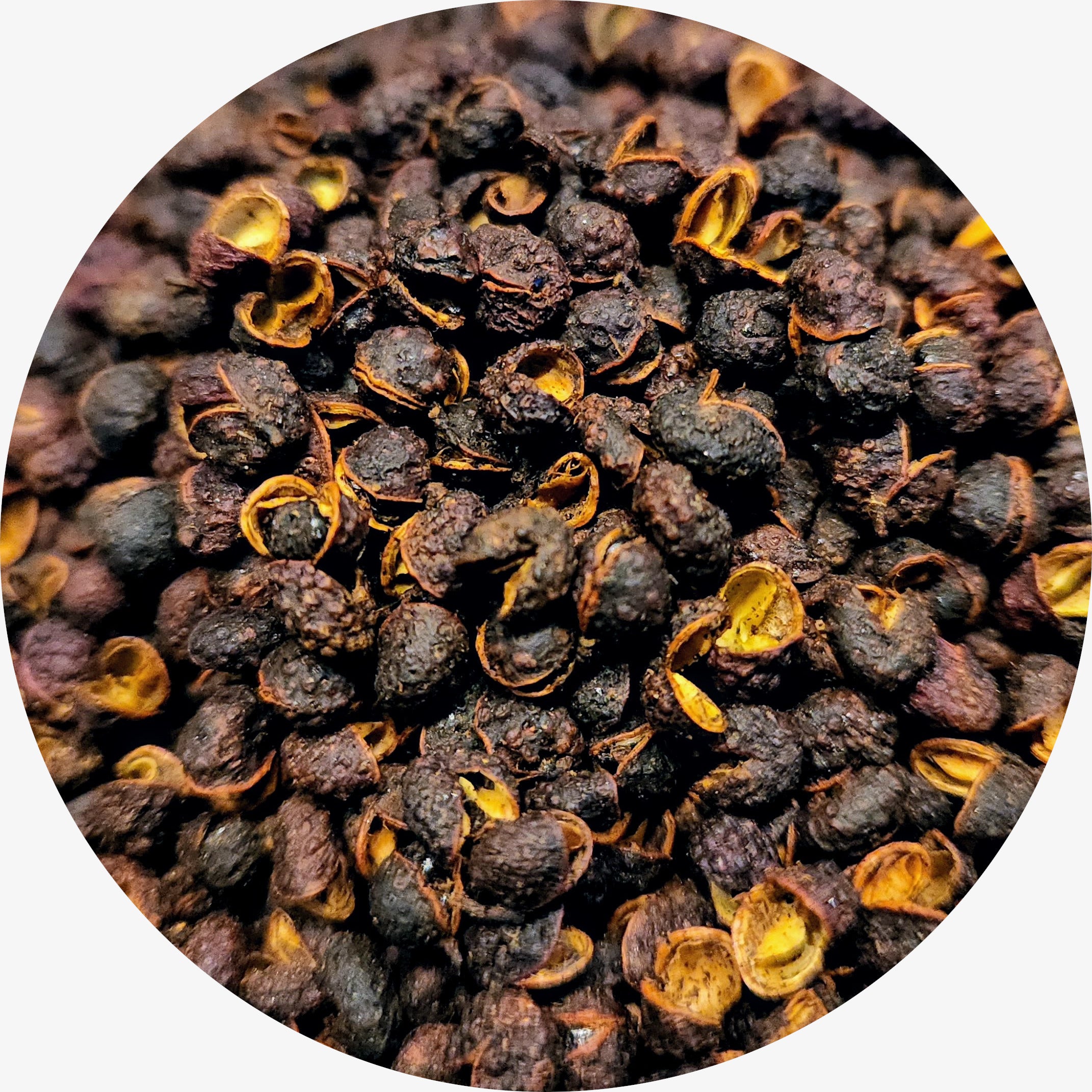 Wild Timur Pepper, Single Origin – Suraj Spices & Teas