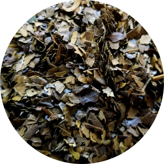 Yaupon, Dark Roasted, Organic