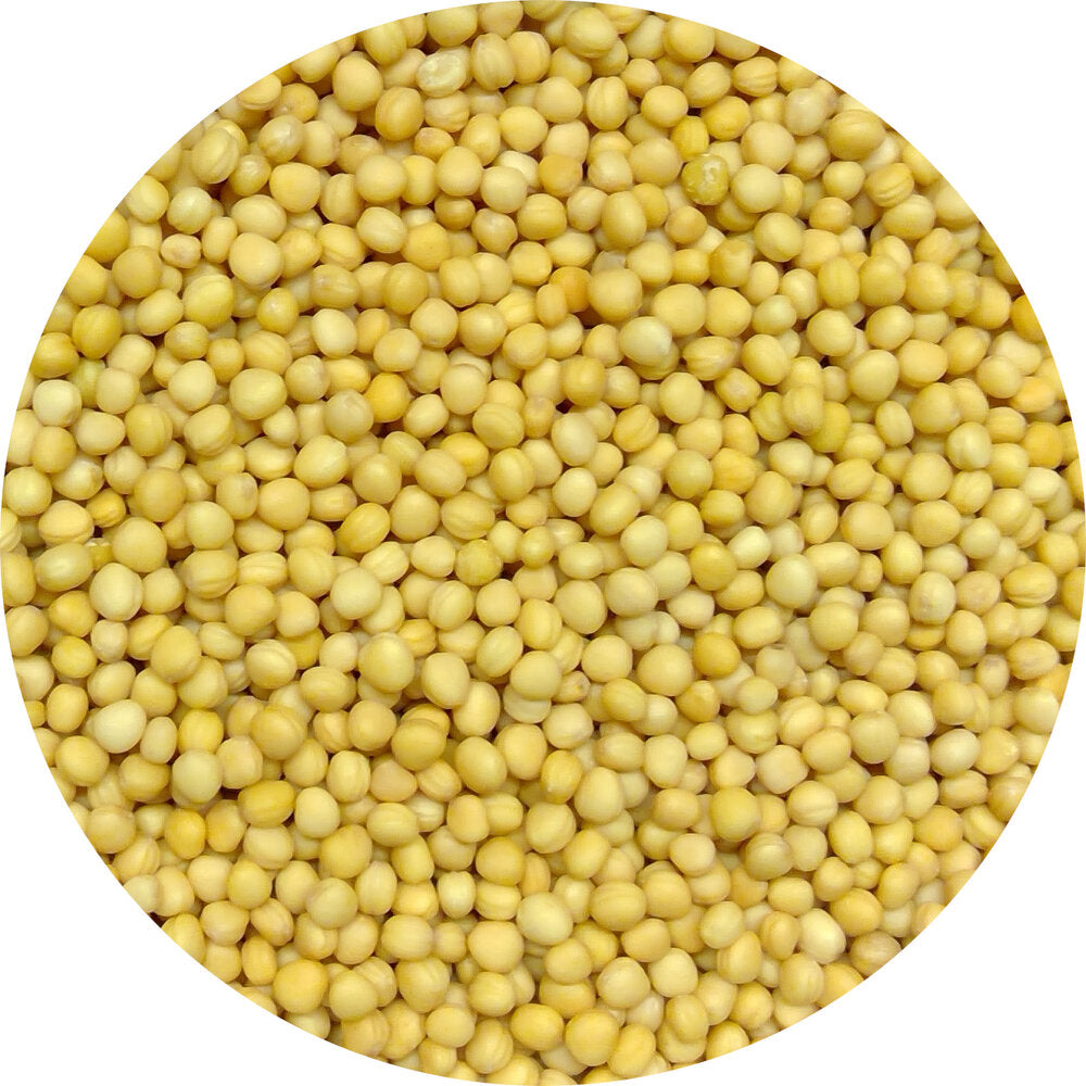 Mustard, Yellow, Organic